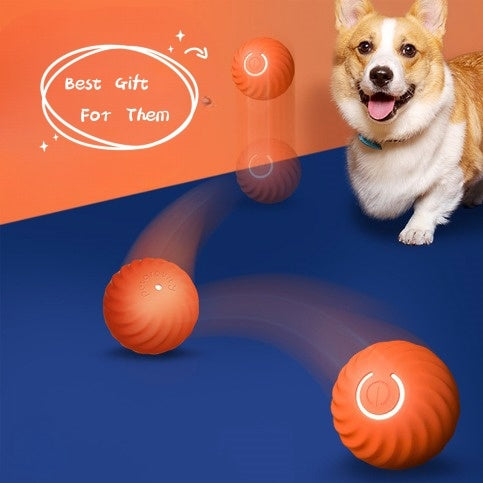 Dog Rubber Ball